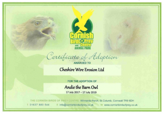 Certificate of Adoption - Andie the Barn Owl